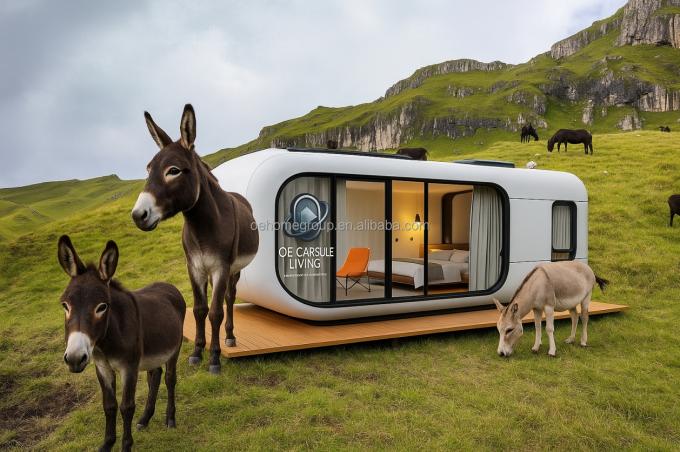 Luxury 20ft Modern Shipping Container House Căn hộ nhỏ Cấu trúc thép Prefab cho khách sạn Villas Không gian căn hộ 5